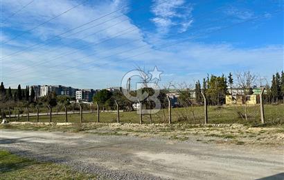 DİLOVASI TAVŞANCILDA 985 M² KONUT İMARLI ARSA