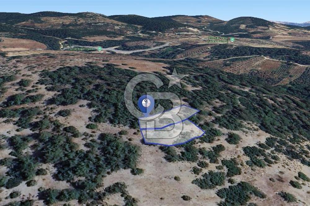 Muğla Menteşe Yeniköy’de 852 m² Satılık Tarla 