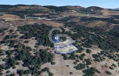 Muğla Menteşe Yeniköy’de 852 m² Satılık Tarla 