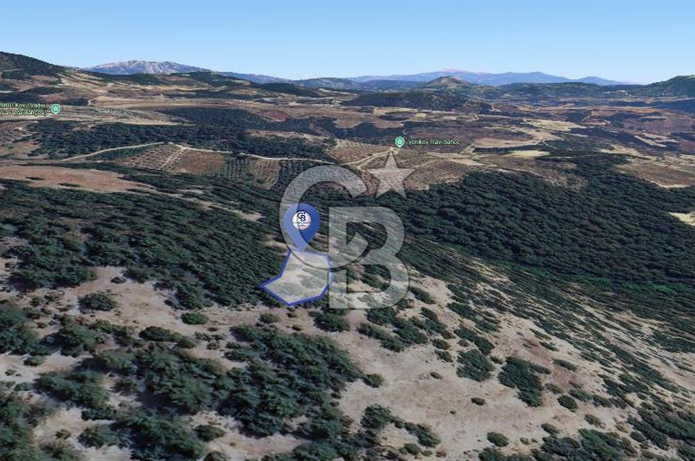 Muğla Menteşe Yeniköy’de 852 m² Satılık Tarla 