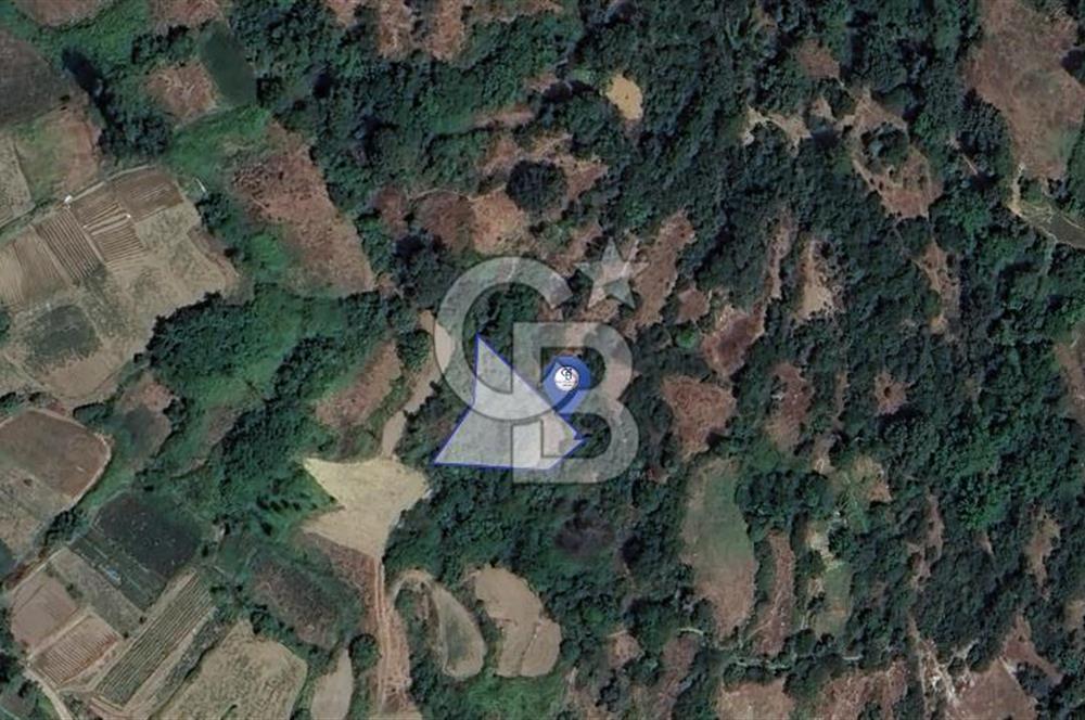 Muğla Menteşe Çatakbağyaka'da 610m² Satılık Tarla