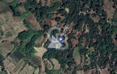 Muğla Menteşe Çatakbağyaka'da 610m² Satılık Tarla