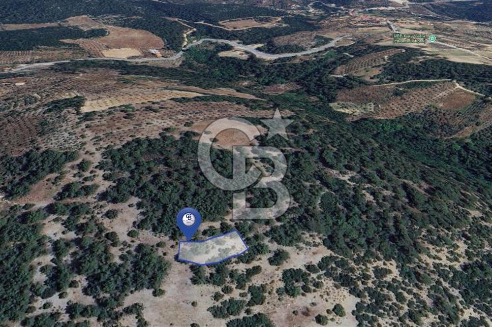 MUĞLA MENTEŞE YENİKÖY’DE 805 m² YATIRIMLIK TARLA