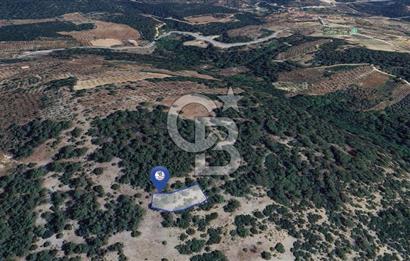 MUĞLA MENTEŞE YENİKÖY’DE 805 m² YATIRIMLIK TARLA