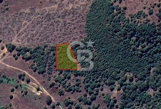 Bursa Orhaneli Argın’da 2400 m² Yatırımlık Tarla - 4 - 338812