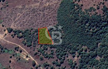 Bursa Orhaneli Argın’da 2400 m² Yatırımlık Tarla