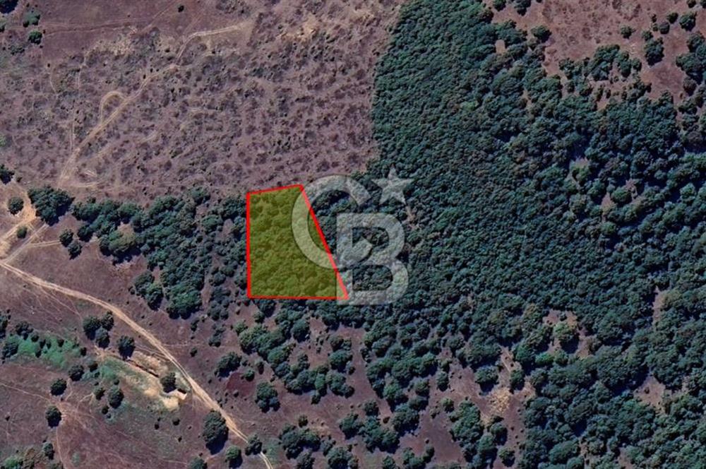 Bursa Orhaneli Argın’da 2400 m² Yatırımlık Tarla