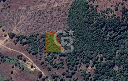 Bursa Orhaneli Argın’da 2400 m² Yatırımlık Tarla