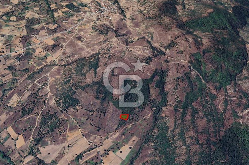 Bursa Orhaneli Argın’da 2400 m² Yatırımlık Tarla