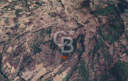 Bursa Orhaneli Argın’da 2400 m² Yatırımlık Tarla