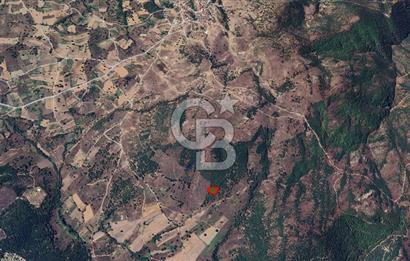 Bursa Orhaneli Argın’da 2400 m² Yatırımlık Tarla