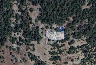 MUĞLA MENTEŞE YENİKÖY’DE 805 m² YATIRIMLIK TARLA - 3 - 338810