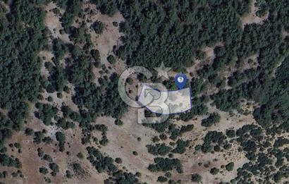 MUĞLA MENTEŞE YENİKÖY’DE 805 m² YATIRIMLIK TARLA