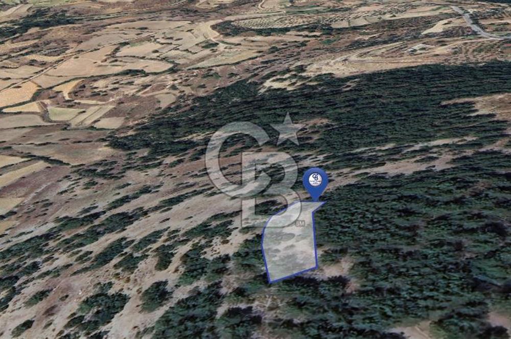 Muğla Menteşe Yeniköy’de 852 m² Satılık Tarla 