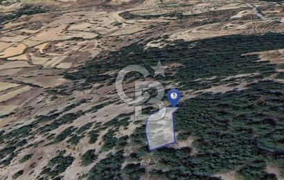 Muğla Menteşe Yeniköy’de 852 m² Satılık Tarla 