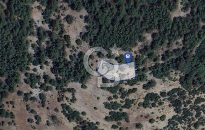 MUĞLA MENTEŞE YENİKÖY’DE 805 m² YATIRIMLIK TARLA