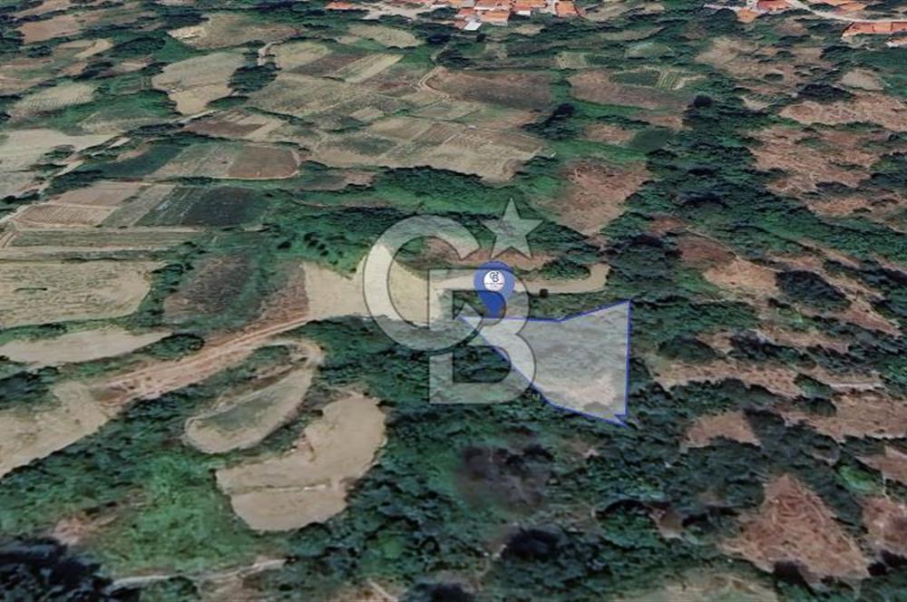 Muğla Menteşe Çatakbağyaka'da 610m² Satılık Tarla