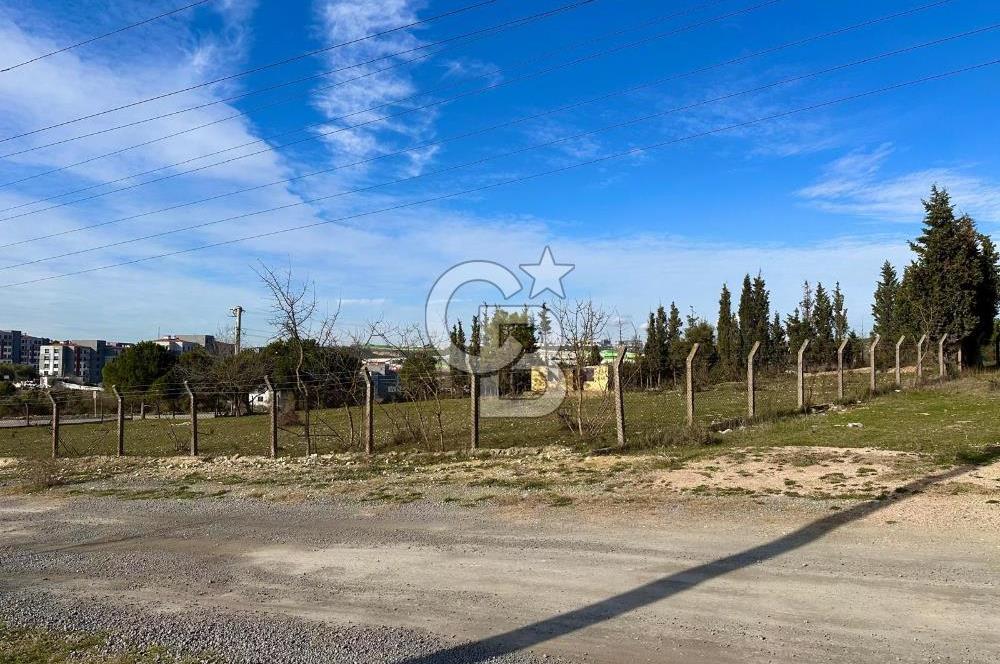 DİLOVASI TAVŞANCILDA 985 M² KONUT İMARLI ARSA