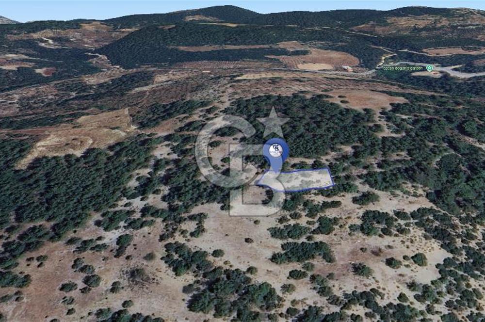 MUĞLA MENTEŞE YENİKÖY’DE 805 m² YATIRIMLIK TARLA