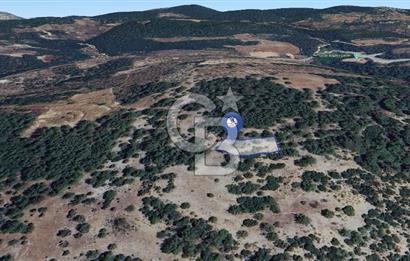 MUĞLA MENTEŞE YENİKÖY’DE 805 m² YATIRIMLIK TARLA