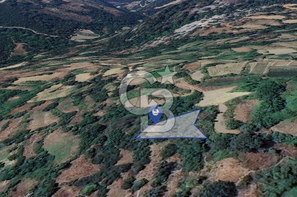 Muğla Menteşe Çatakbağyaka'da 610m² Satılık Tarla