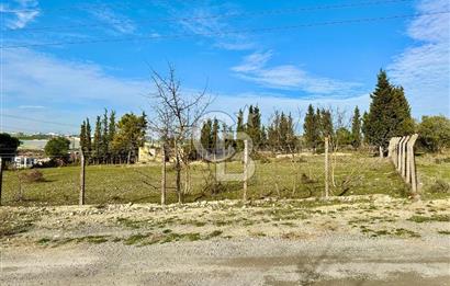 DİLOVASI TAVŞANCILDA 985 M² KONUT İMARLI ARSA