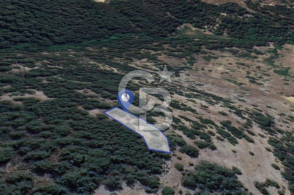 Muğla Menteşe Yeniköy’de 852 m² Satılık Tarla 