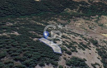 Muğla Menteşe Yeniköy’de 852 m² Satılık Tarla 