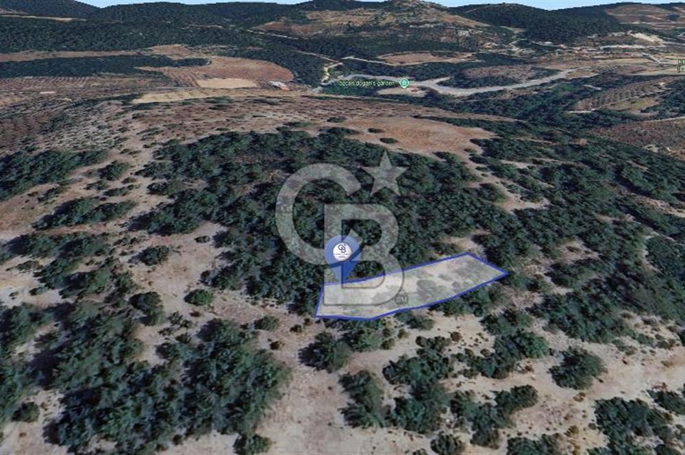 Muğla Menteşe Yeniköy’de 852 m² Satılık Tarla 