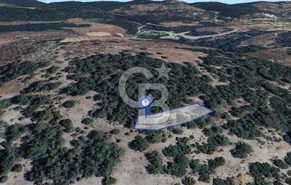 Muğla Menteşe Yeniköy’de 852 m² Satılık Tarla 