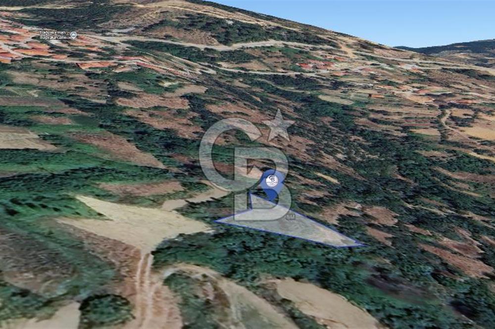 Muğla Menteşe Çatakbağyaka'da 610m² Satılık Tarla