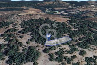 Muğla Menteşe Yeniköy’de 852 m² Satılık Tarla  - 4 - 338808