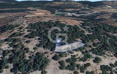 Muğla Menteşe Yeniköy’de 852 m² Satılık Tarla 