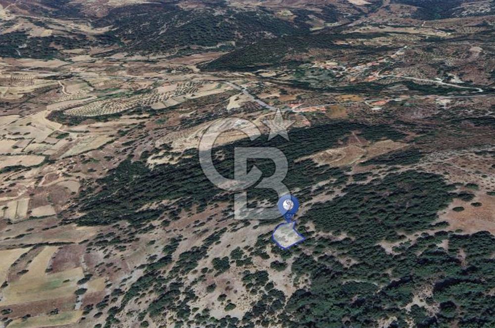 MUĞLA MENTEŞE YENİKÖY’DE 805 m² YATIRIMLIK TARLA