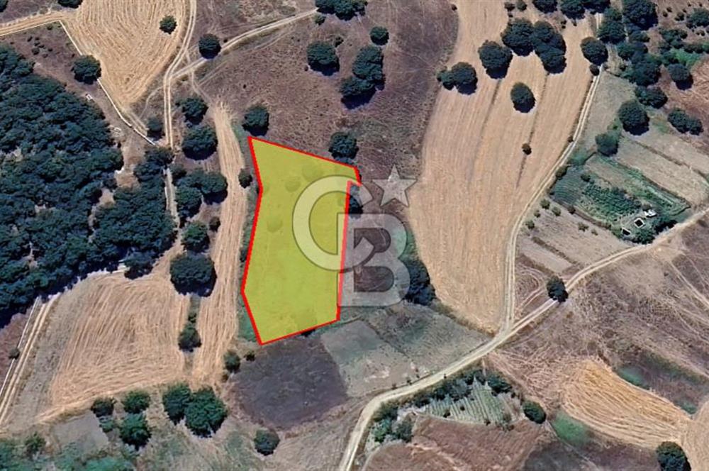 Bursa Orhaneli Argın’da 2020 m² Yatırımlık Tarla | 