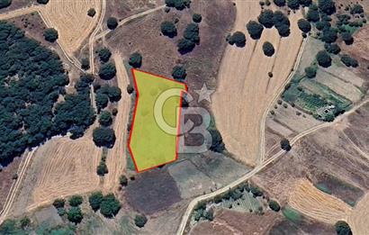Bursa Orhaneli Argın’da 2020 m² Yatırımlık Tarla | 