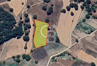 Bursa Orhaneli Argın’da 2020 m² Yatırımlık Tarla |  - 6 - 338809