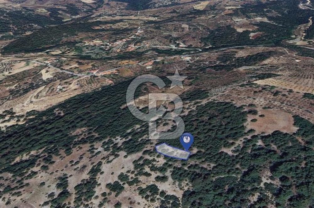 Muğla Menteşe Yeniköy’de 852 m² Satılık Tarla 