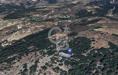 Muğla Menteşe Yeniköy’de 852 m² Satılık Tarla 