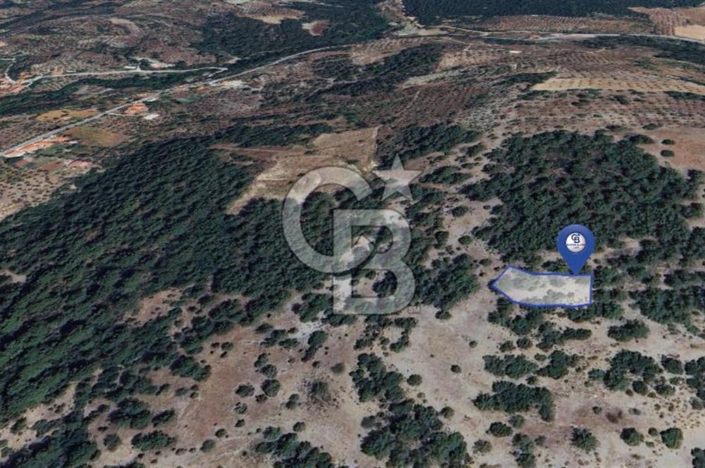 MUĞLA MENTEŞE YENİKÖY’DE 805 m² YATIRIMLIK TARLA