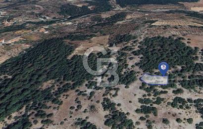 MUĞLA MENTEŞE YENİKÖY’DE 805 m² YATIRIMLIK TARLA