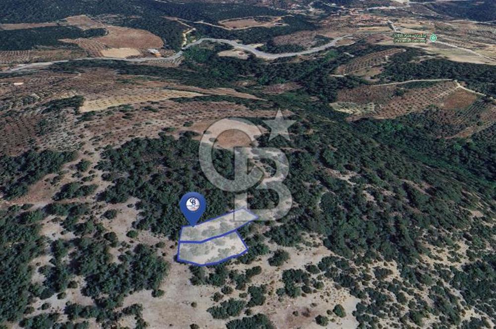 MUĞLA MENTEŞE YENİKÖY’DE 805 m² YATIRIMLIK TARLA