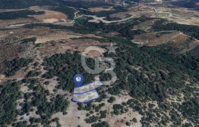 Muğla Menteşe Yeniköy’de 852 m² Satılık Tarla 