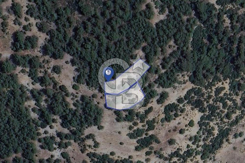 MUĞLA MENTEŞE YENİKÖY’DE 805 m² YATIRIMLIK TARLA