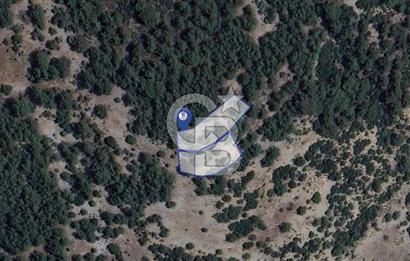 Muğla Menteşe Yeniköy’de 852 m² Satılık Tarla 