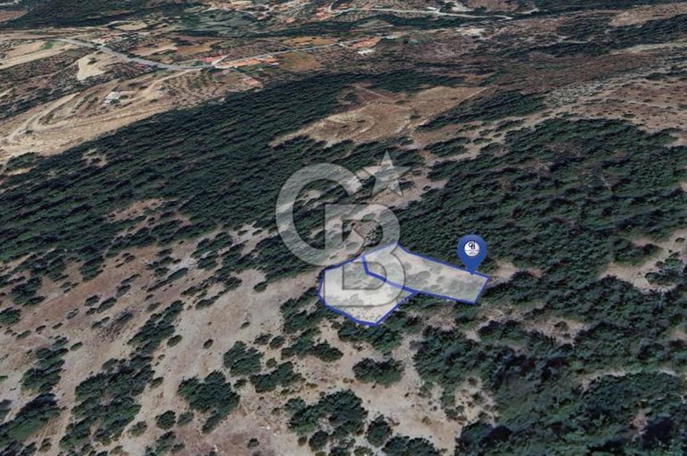 MUĞLA MENTEŞE YENİKÖY’DE 805 m² YATIRIMLIK TARLA