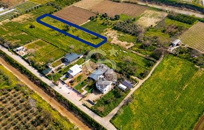 Menemen Görece Hacıhasanlar'da Satılık Tarla