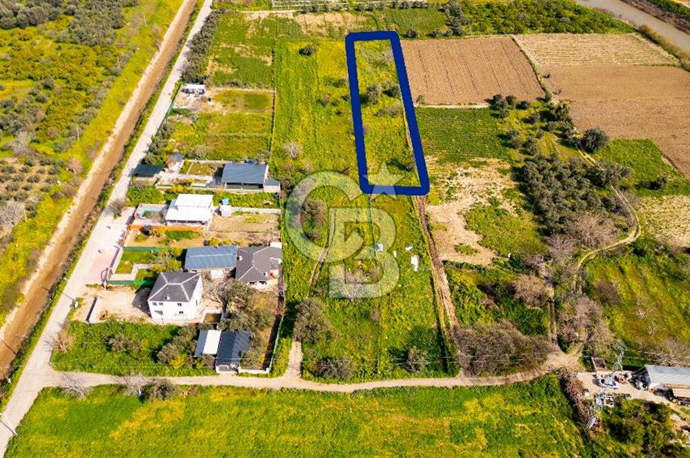 Menemen Görece Hacıhasanlar'da Satılık Tarla