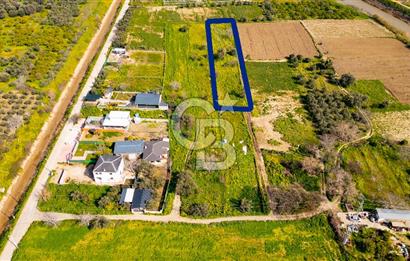 Menemen Görece Hacıhasanlar'da Satılık Tarla