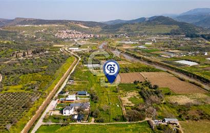 Menemen Görece Hacıhasanlar'da Satılık Tarla